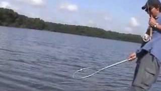 Fly Fishing for Tarpon in Carambola Venezuela [upl. by Minardi]