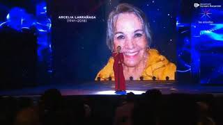 Maite Perroni canta quot Brillaras quot en Premios Tvynovelas 2019 [upl. by Scribner]