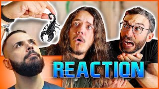 REACTION a PUOI MANGIARLO ep 4  MHA Povero Human Safari [upl. by Publia]