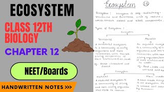 Ecosystem Class 12 Biology  Chapter 12  Handwritten Notes  Boards  NEET [upl. by Sined]