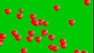 Raining heart green screen  no copyright [upl. by Long294]