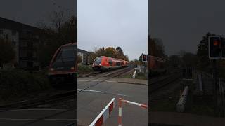 BR 641 015 der Deutsche Bahn am Bahnübergang in Grenzach deutschebahn trainspotting shorts yt [upl. by Dale82]