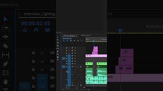 Lock Layers in Premiere Pro [upl. by Ydospahr]