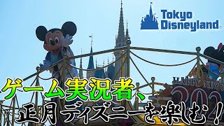 ゲーム実況者が東京ディズニーランドの正月を楽しんできた！ [upl. by Susana121]