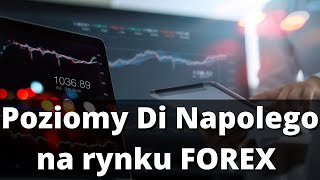 Poziomy DiNapolego  FOREX LIVE TRADING [upl. by Ylicec]