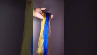 Golden Blonde Royal Blue and Chocolate Brown  Custom Color Hair Blend [upl. by Broome319]