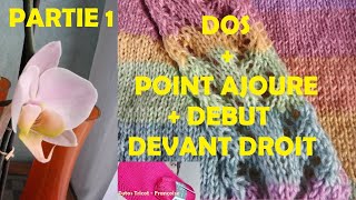 1 Tuto Tricot Gilet CacheCœur Femme avec bordure ajourée facile en 5 tailles création [upl. by Everrs]