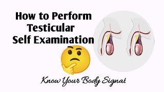 How To Perform Testicular Self Examination [upl. by Iew]