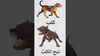 Arapça Hayvan Sesleri 2 KÖPEK arapçadersleri arapcaogren logo ingilizce arabic derses [upl. by Goraud]