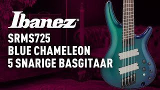 Ibanez SRMS725 5snarige multiscale elektrische basgitaar [upl. by Byron]