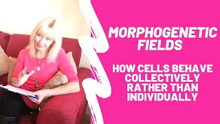 Thoughts on Morphogenetic Fields about how cells behave collectively rather than individually [upl. by Albright]