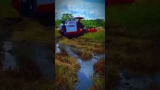 😉🤭🥰 feeling happy harvester mud paddyfield harvesting shorts wow srilanka [upl. by Enirok]