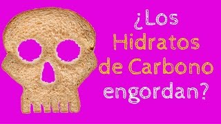 ¿Los hidratos de carbono engordan [upl. by Delora]