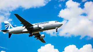 Air France v Saks 1985 Overview  LSData Case Brief Video Summary [upl. by Nowad]