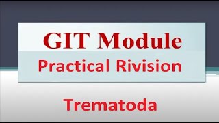 Para Practical GIT  Trematoda  مراجعة عملى على عائلة Trematoda [upl. by Nade747]