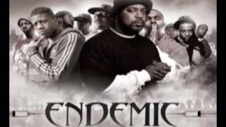 Endemic feat Killah Priest amp Timbo King  One Day Remix [upl. by Eelyk982]