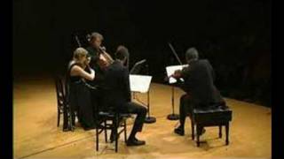 Henschel Quartet live in Tokyo  Janacek Kreutzersonata 2 [upl. by Ayouqat]