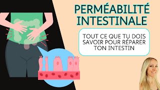 Perméabilité intestinale  tout ce quil faut savoir pour en sortir [upl. by Ellesig167]