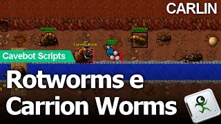 CAVEBOT SCRIPT Bueiro de Carlin  Carrion Worms e Rotworms  All Vocation  ElfBot [upl. by Ambrosius]