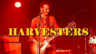 HARVESTERS LIVE  ZOMERLIEF 24 [upl. by Nabla]