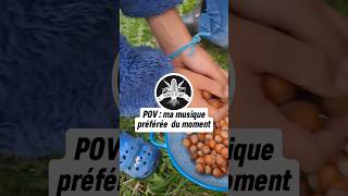 Que font ces petits écureuils  🐿🥜🌲 [upl. by Wolfe]