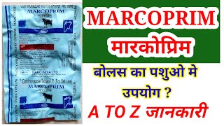 MARCOPRIM Bolus की पूरी जानकारी  marcoprim tablet use in vetfull review in hindi [upl. by Jerroll]