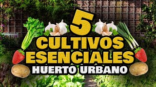 5 Cultivos ESENCIALES y RÁPIDOS 🍅 Empezar un Huerto Urbano en Casa  Hortalizas Fáciles y Rápidas [upl. by Jeth]