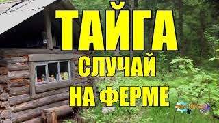 ОХОТА НА ТИГРА ЛЮДОЕДА  СЛУЧАЙ В ТАЙГЕ [upl. by Benenson]