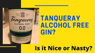 Tanqueray Alcohol Free Gin Nice or Nasty [upl. by Junie482]