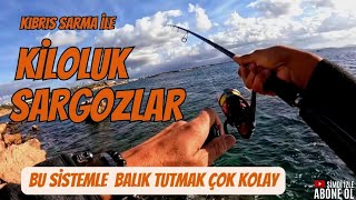 Balık Avı  Bu Teknikle Balık Tutmak Çok Kolay Takoz Sargozlar Aldık [upl. by Yule980]