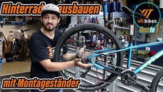 Hinterrad am Fahrrad ausbauen MIT Montageständer  vitbikesTV [upl. by Anelra297]