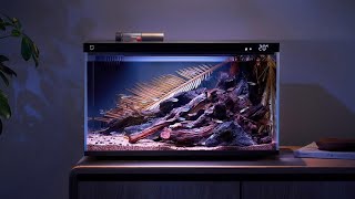 Hướng dẫn kết nối ￼bể cá thông minh Xiaomi Mijia Smart Fish Tank MYG100 20L với app MiHome [upl. by Torrey728]