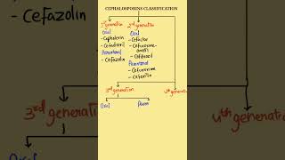 Cephalosporins Classification  Classification of Cephalosporins  Cephalosporins pharmacology [upl. by Dekeles89]