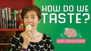 How Do We Taste [upl. by Fairleigh]