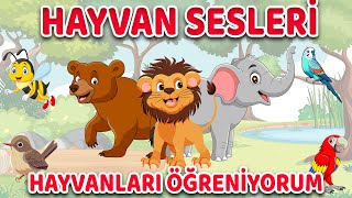 Hayvan Sesleri  Hayvanları Tanıyalım  Çocuklar İçin  Okul Öncesi Eğitici Video [upl. by Areem]