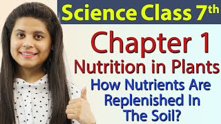 How Nutrients Are Replenished In The Soil  Chapter 1  Nutrition in Plants  Class 7 Science [upl. by Netta466]