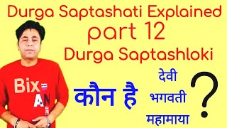 दुर्गा सप्तश्लोकी  Durga Saptashati Explained part 12 [upl. by Merras]