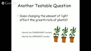 How to Write a Testable Question [upl. by Eeral]