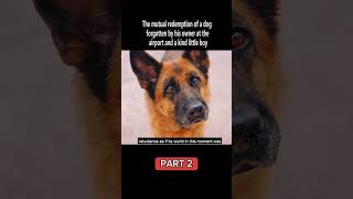 TITLE A Dog Named Palma PART 2 movie shortflim clips dog shorts views grow [upl. by Ahseihs]