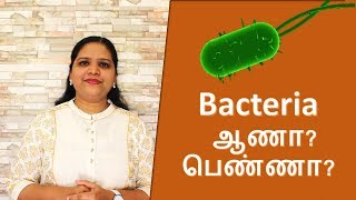 What is bacteria  Tamil [upl. by Valora]