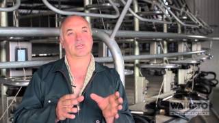 Waikato Milking Systems Bail Marshal Testimonial [upl. by Ahsenrad]