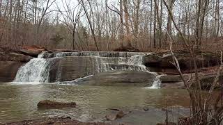 Fall Creek Waterfall in the Mayo River State Park NC [upl. by Einnim]