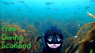 Snorkeling and freediving at Findochty North Scotland [upl. by Ahcim]