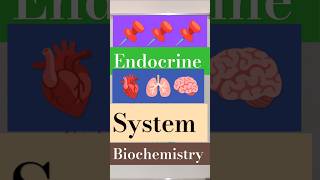 Endocrine system biochemistry endocrinesystem endocrineglands endocrine shorts trending [upl. by Mario]