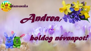 Andrea sok boldog névnapot kívánunk [upl. by Anial]