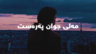 Hani Mojtahedy  Dltangy Lyrics  هانی مجتهدی  دڵتەنگی [upl. by Fredelia]