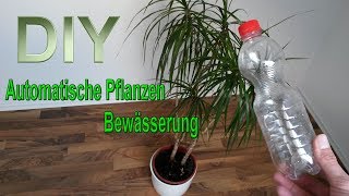 Automatische Pflanzenbewässerung aus PET Flasche selber machen – Bewässerungssystem bauen  DIY [upl. by Nerval]