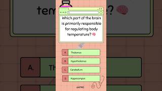 🌡️ Did You Know Your Brain Has Its Own Thermostat mededtrivia brainteasers brainfacts quiz [upl. by Enelrae]