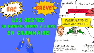 MANIPULATIONS ou GESTES À CONNAITRE EN GRAMMAIRE pour le brevet loral du bac de français 2024 [upl. by Darill]