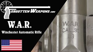 WAR  the Winchester Automatic Rifle [upl. by Oisorbma]